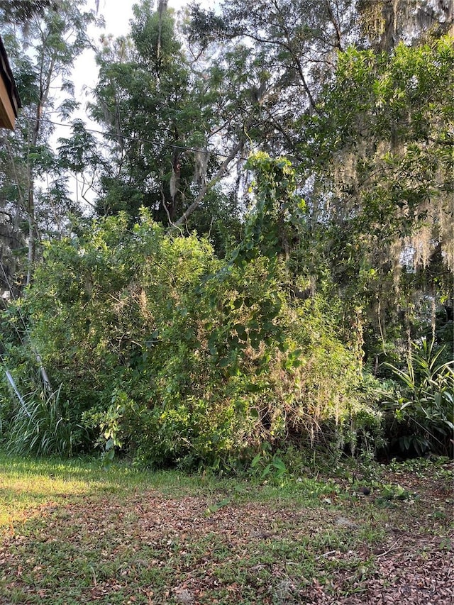 2708 Dixie Rd, Lakeland, FL 33801 - photo 11