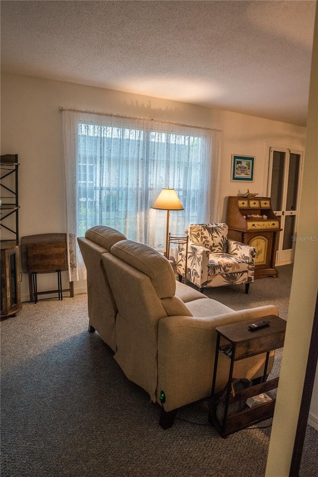 7713 39th Ave N, Saint Petersburg, FL 33709 - photo 13