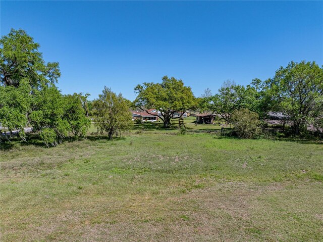 4230 Viola Rd, Lakeland, FL 33810 - view of yard