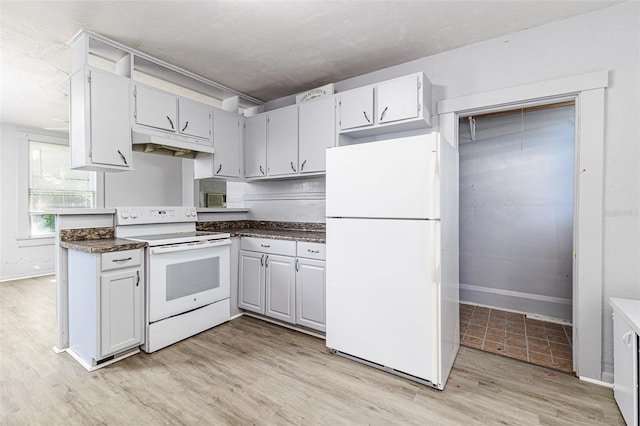 121 F Ave SW, Winter Haven, FL 33880 - kitchen with white appliances, under cabinet range hood, light wood-style floors, and dark countertops