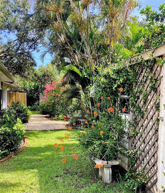 4718 Crystal Ave, Sarasota, FL 34231 - view of yard