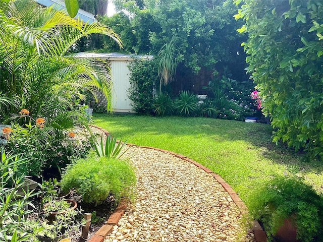 4718 Crystal Ave, Sarasota, FL 34231 - view of green lawn with a storage unit