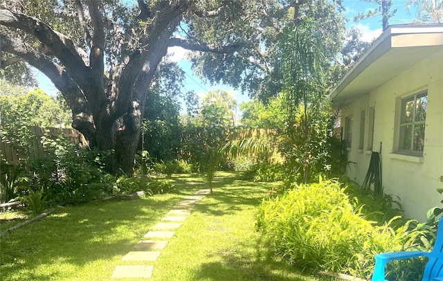4718 Crystal Ave, Sarasota, FL 34231 - view of yard