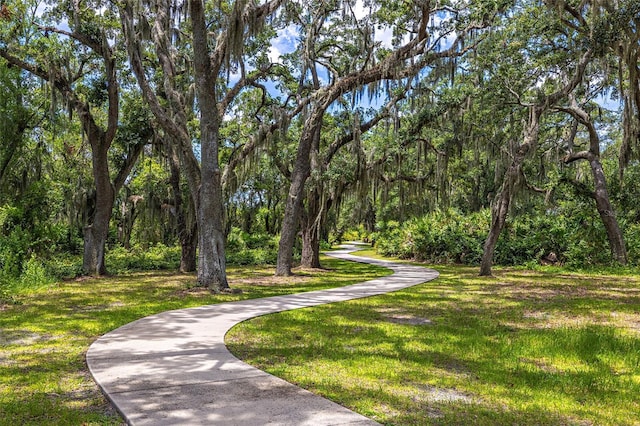 1831 Brockridge Rd, Kissimmee, FL 34744 - photo 4