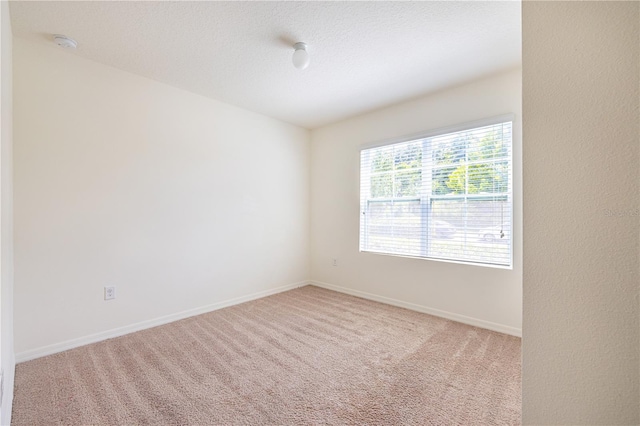 1831 Brockridge Rd, Kissimmee, FL 34744 - photo 9