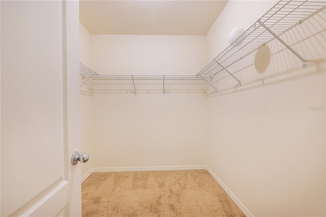 1831 Brockridge Rd, Kissimmee, FL 34744 - photo 33