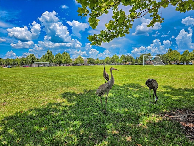 1831 Brockridge Rd, Kissimmee, FL 34744 - photo 40