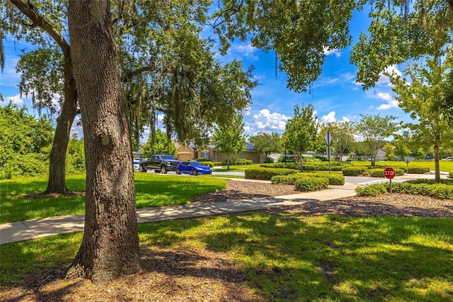 1831 Brockridge Rd, Kissimmee, FL 34744 - photo 53