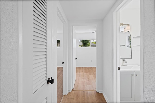 275 Garden Rd, Venice, FL 34293 - hall featuring light wood-style flooring and a sink