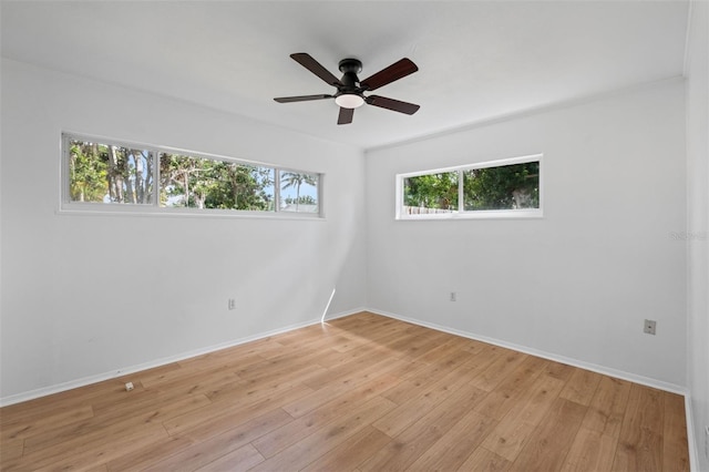 275 Garden Rd, Venice, FL 34293 - unfurnished room featuring ceiling fan and light wood-style flooring