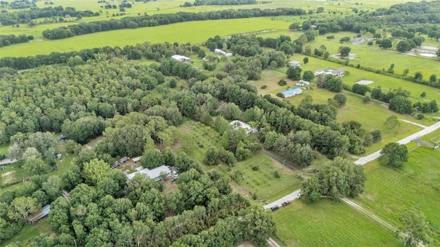 15345 Angus Rd, Polk City, FL 33868 - photo 3