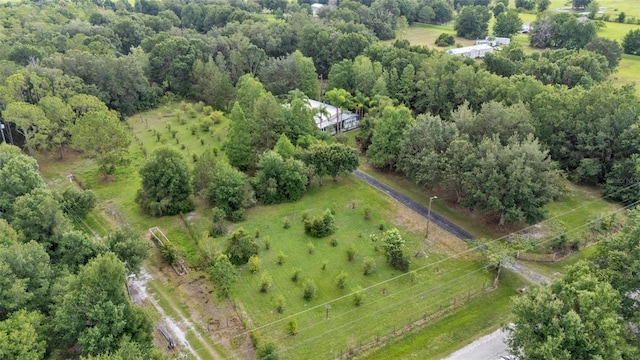15345 Angus Rd, Polk City, FL 33868 - photo 44