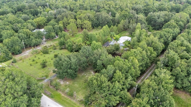 15345 Angus Rd, Polk City, FL 33868 - photo 47