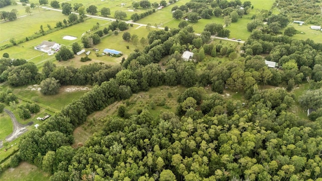 15345 Angus Rd, Polk City, FL 33868 - photo 55