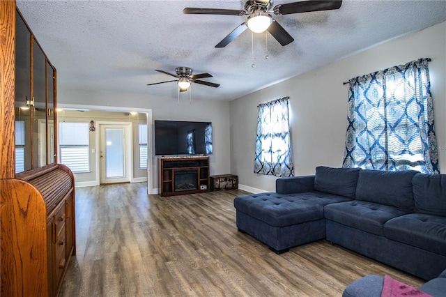 3542 Raintree Ct, Lakeland, FL 33803 - living room with a textured ceiling, wood finished floors, plenty of natural light, a ceiling fan, and a fireplace