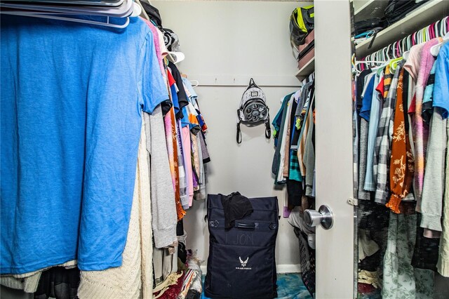 3542 Raintree Ct, Lakeland, FL 33803 - view of spacious closet