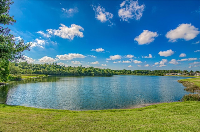 4242 Whistlewood Cir, Lakeland, FL 33811 - water view
