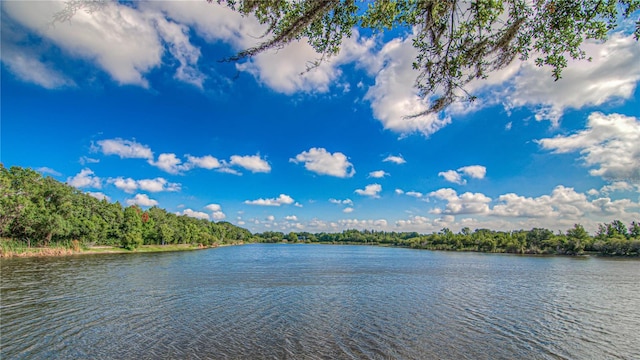 4242 Whistlewood Cir, Lakeland, FL 33811 - water view
