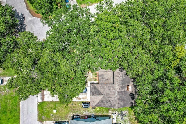 4720 Wildflower Dr, Lakeland, FL 33811 - photo 40