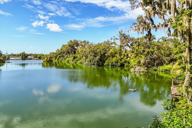 6033 Mountain Lake Dr, Lakeland, FL 33813 - photo 37