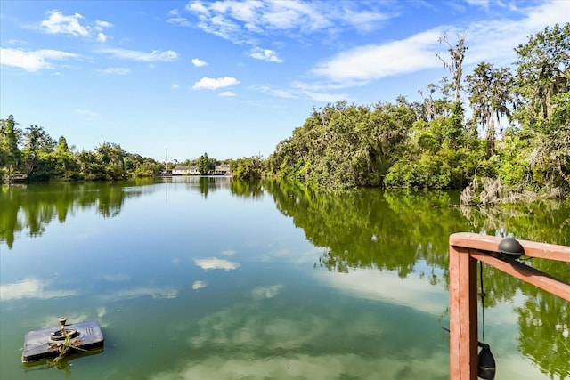 6033 Mountain Lake Dr, Lakeland, FL 33813 - photo 38
