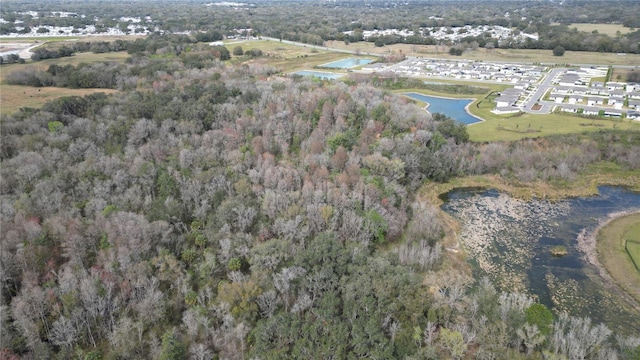 38238 Higginson Rd, Zephyrhills, FL 33540