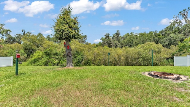 2932 Blackwater Oaks Dr, Mulberry, FL 33860 - photo 51