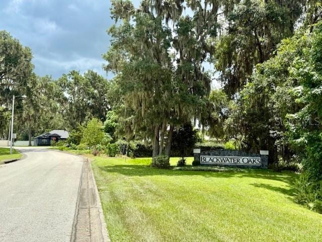 2932 Blackwater Oaks Dr, Mulberry, FL 33860 - photo 63