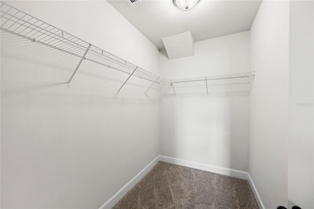 2633 Keysville Dr, Lithia, FL 33547 - walk in closet with carpet flooring