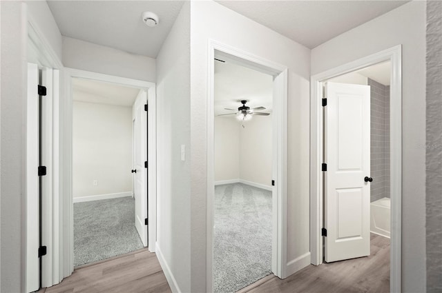 2633 Keysville Dr, Lithia, FL 33547 - hall featuring light wood finished floors and baseboards
