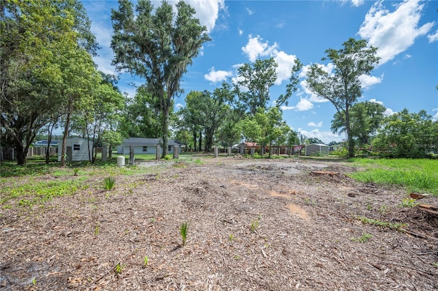 2633 Keysville Dr, Lithia, FL 33547 - view of yard
