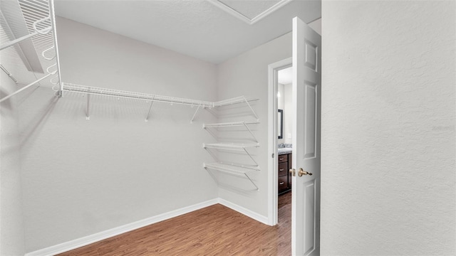 4143 Red Fern Ln, Lakeland, FL 33811 - walk in closet with wood finished floors and a sink