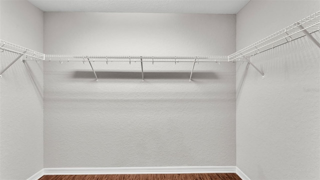 4143 Red Fern Ln, Lakeland, FL 33811 - walk in closet featuring wood finished floors