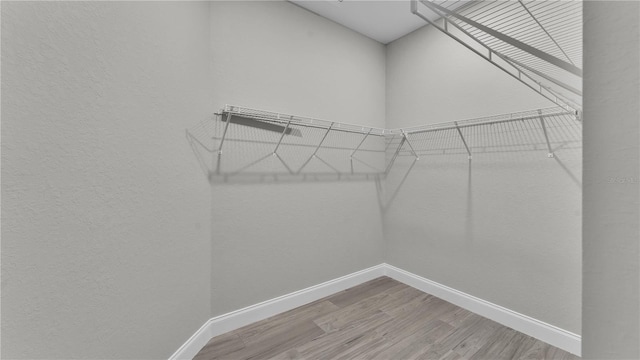 5512 Odom Rd, Lakeland, FL 33809 - photo 22