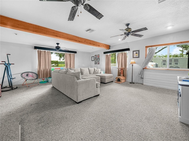 3125 Tom Matthews Rd, Lakeland, FL 33810 - photo 34