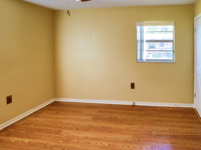 5907 Sharon Ln, Lakeland, FL 33809 - photo 19