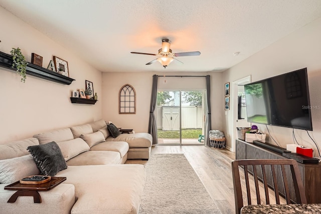 32668 Abby Lax Ln, Wesley Chapel, FL 33543 - photo 6