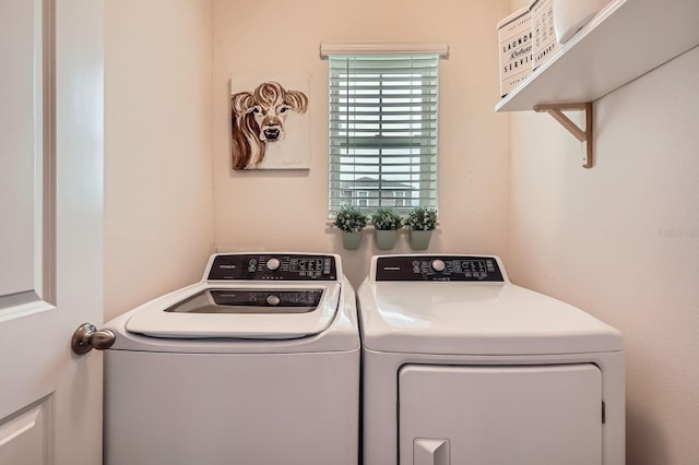 32668 Abby Lax Ln, Wesley Chapel, FL 33543 - photo 23