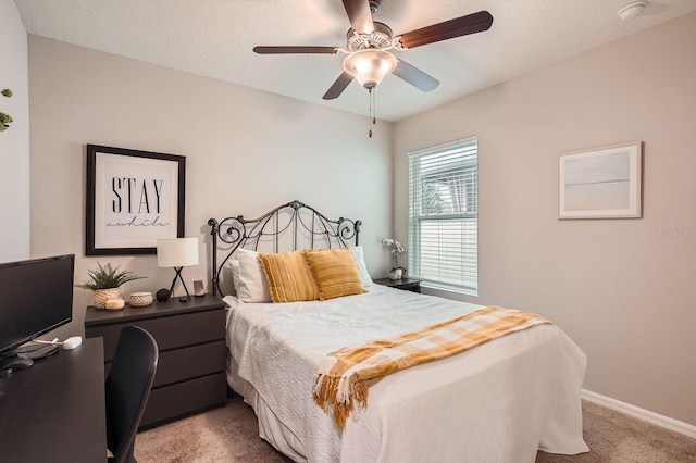 32668 Abby Lax Ln, Wesley Chapel, FL 33543 - photo 19