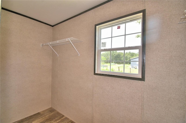 12440 Ranchland Trl, Lakeland, FL 33809 - photo 28