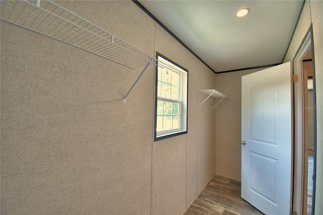 12440 Ranchland Trl, Lakeland, FL 33809 - photo 29