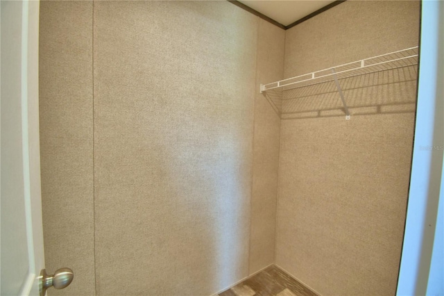 12440 Ranchland Trl, Lakeland, FL 33809 - photo 46