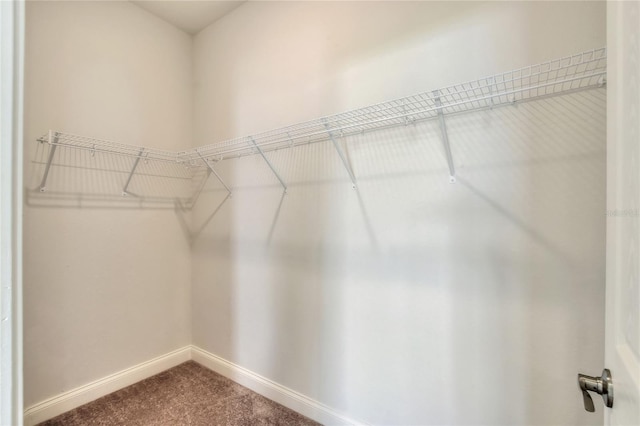 6855 Treymont Dr, Lakeland, FL 33813 - photo 31