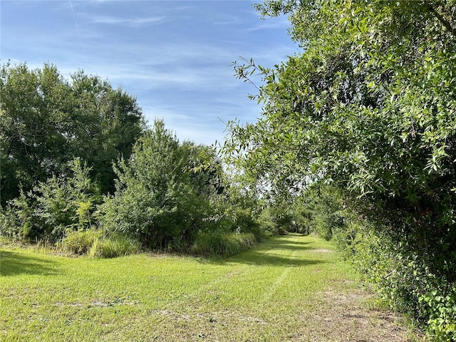 1134 Hopkins Ln, Zolfo Springs, FL 33890 - photo 1