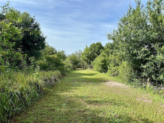 1134 Hopkins Ln, Zolfo Springs, FL 33890 - photo 2