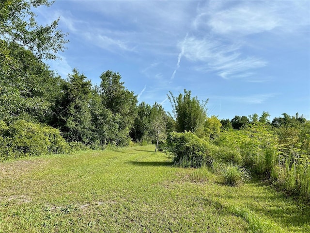 1134 Hopkins Ln, Zolfo Springs, FL 33890 - photo 3