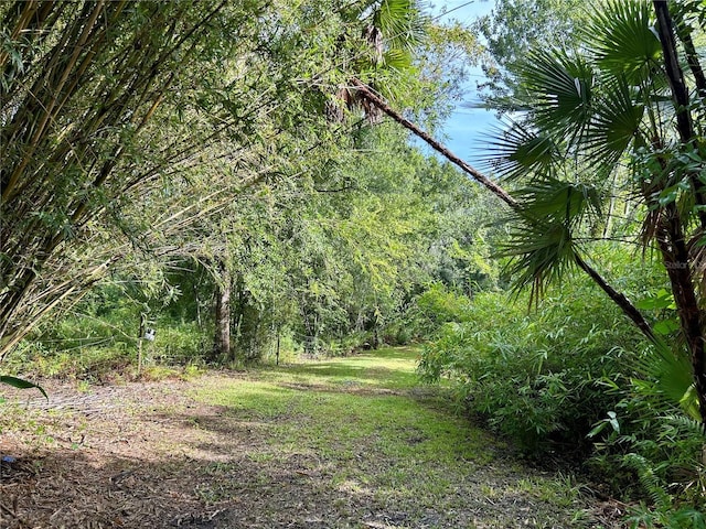1134 Hopkins Ln, Zolfo Springs, FL 33890 - photo 4