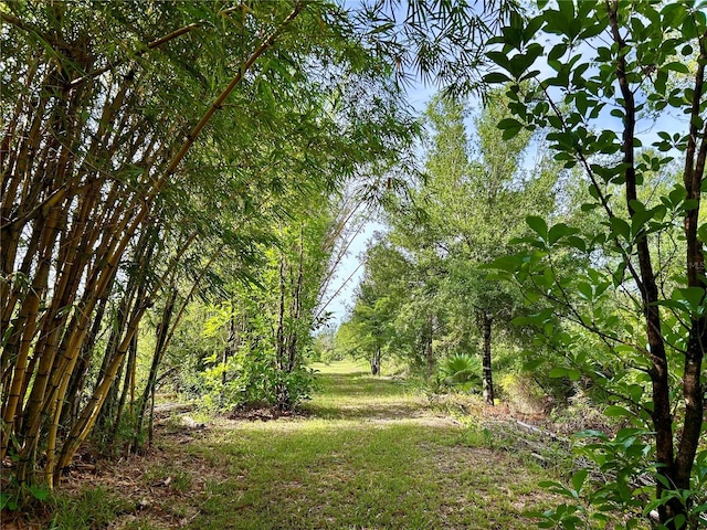 1134 Hopkins Ln, Zolfo Springs, FL 33890 - photo 5