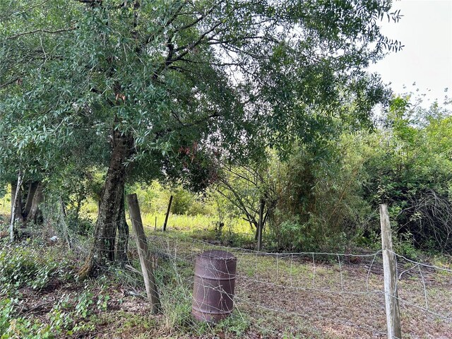 1134 Hopkins Ln, Zolfo Springs, FL 33890 - photo 8