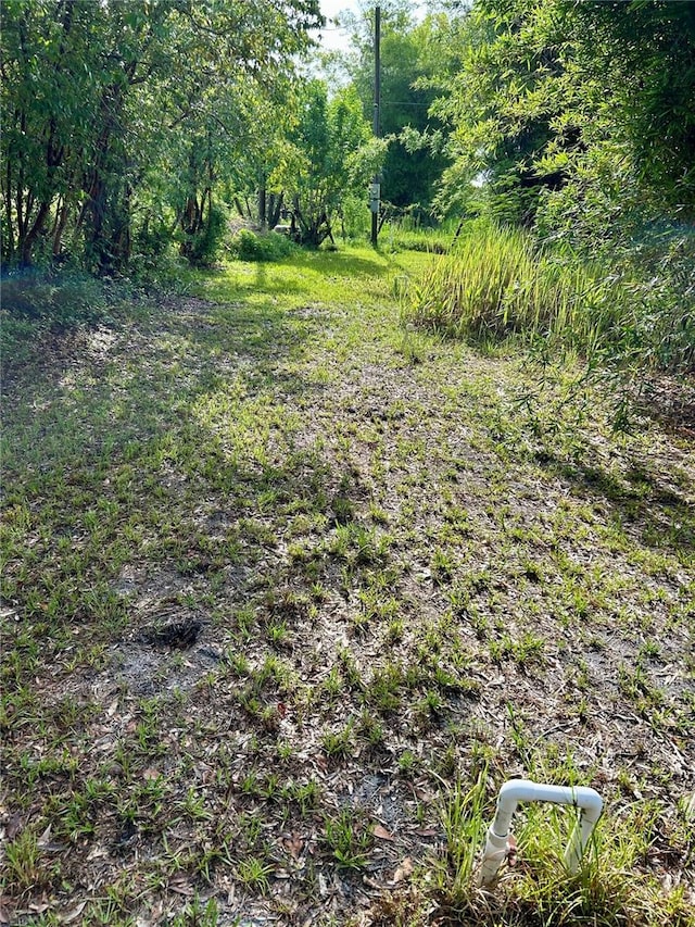 1134 Hopkins Ln, Zolfo Springs, FL 33890 - photo 9